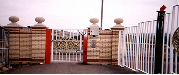 Auto Gate System